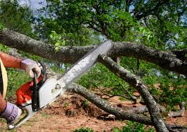 Best Seasonal Cleanup (Spring/Fall)  in St George, MO